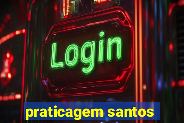 praticagem santos